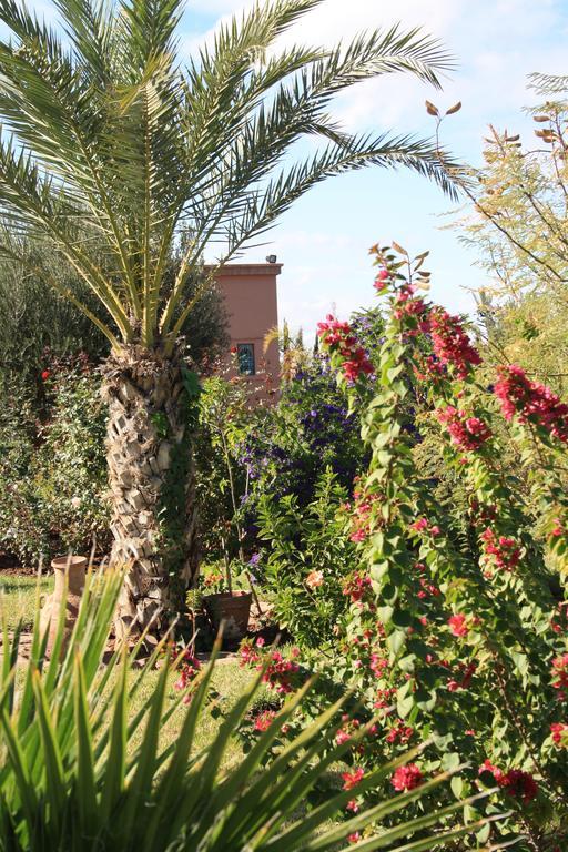 Terra Mia Marrakech Bed and Breakfast Ouled Jelal Eksteriør billede